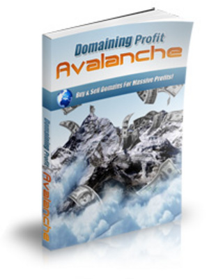 Product picture Domain Profits Avalanche (MRR)
